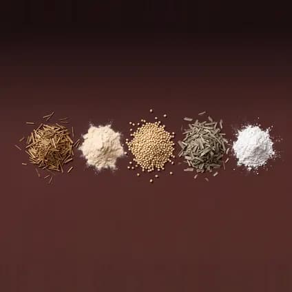 Les actifs de Hair + Nails en vrac, chacun présenté à part avec sa dose