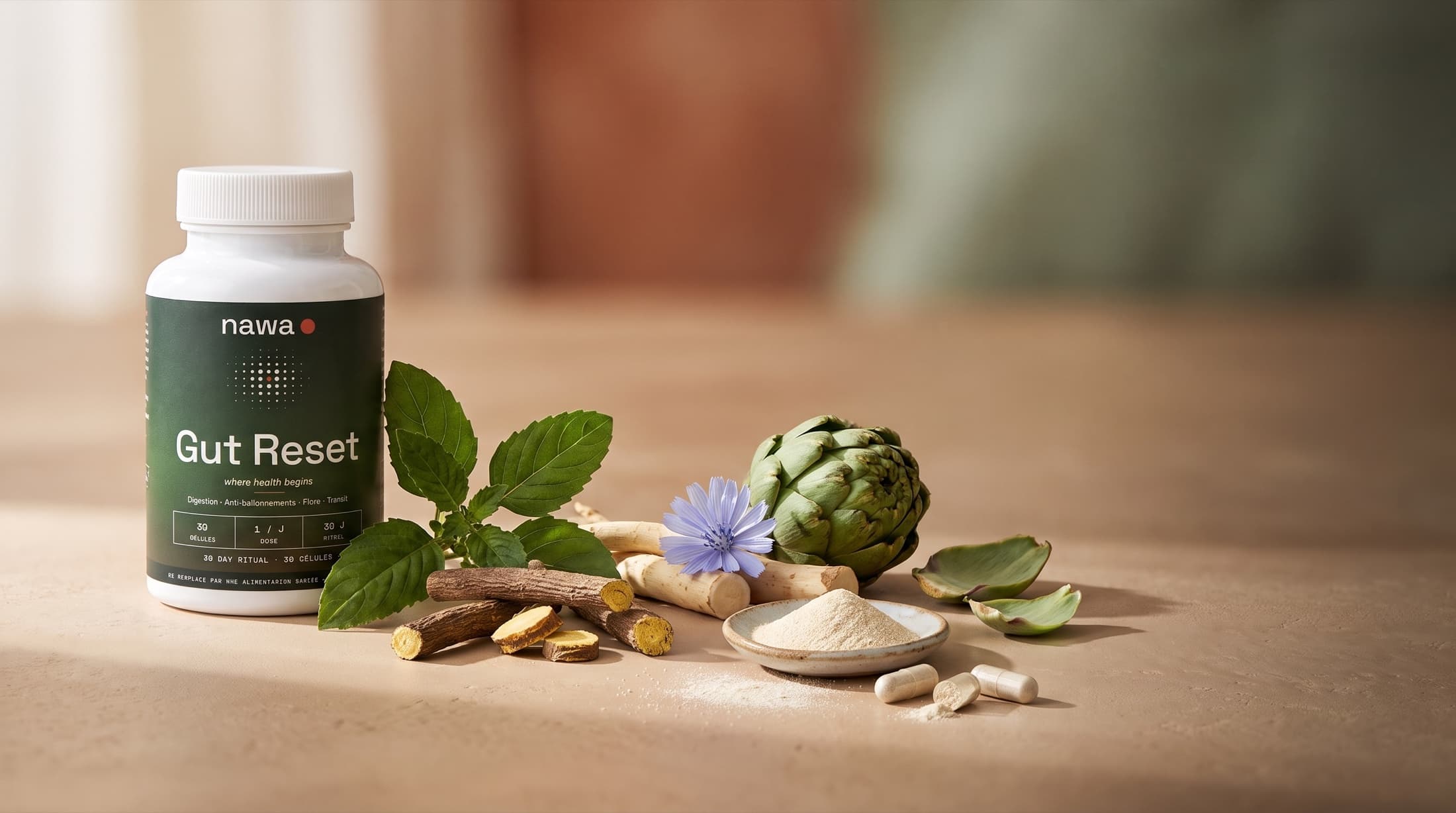 NAWA Gut Reset on a beige tadelakt surface, surrounded by its real ingredients: holy basil, liquorice root, chicory, artichoke, powdered lactic ferment and opened capsules
